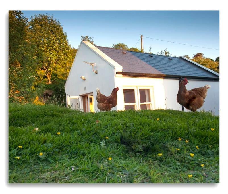 Cosy Self Contained Cottage With Stunning Views キラロー エクステリア 写真