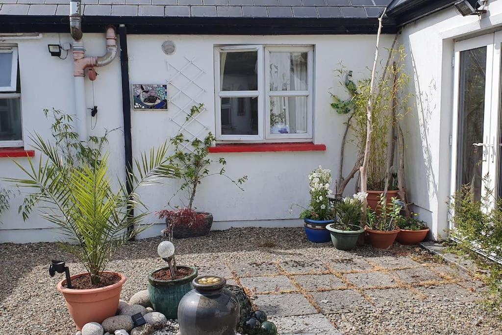 Cosy Self Contained Cottage With Stunning Views キラロー エクステリア 写真
